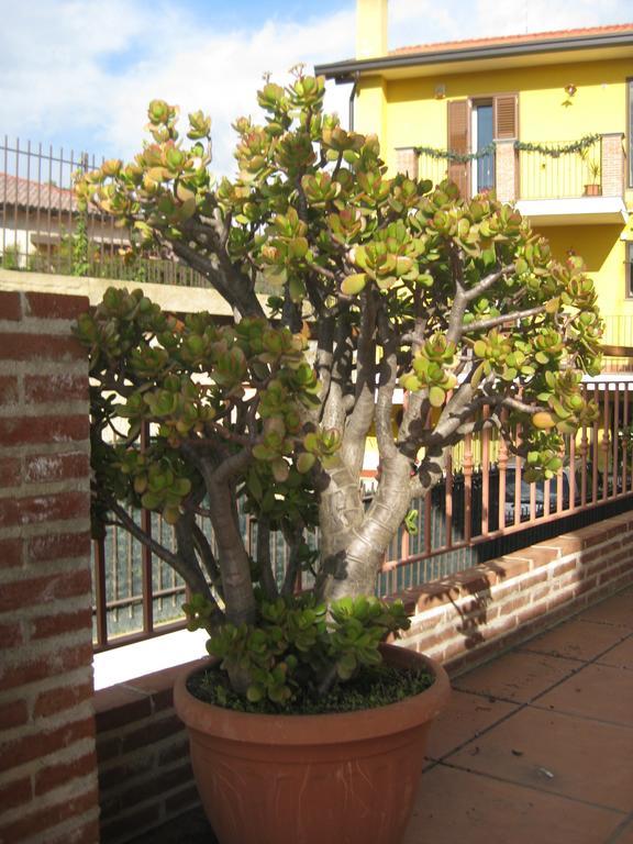Villa Nina 特雷卡斯塔尼 外观 照片